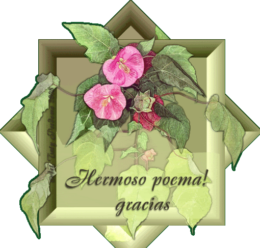 Hermosopoemagracias-2.gif Hermoso poema Gracias image by Mireyita_bucket