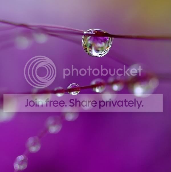 drops-17.jpg