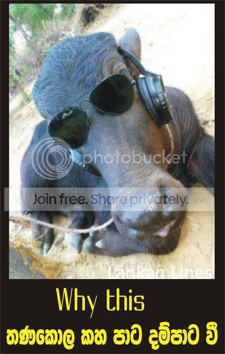 meeharaka.jpg