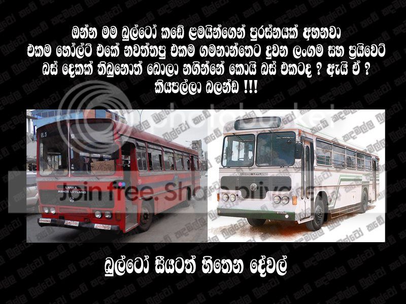 sl_bus.jpg