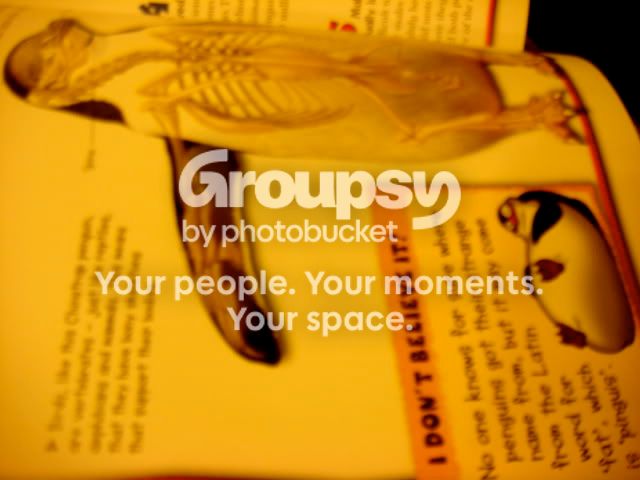 Photobucket